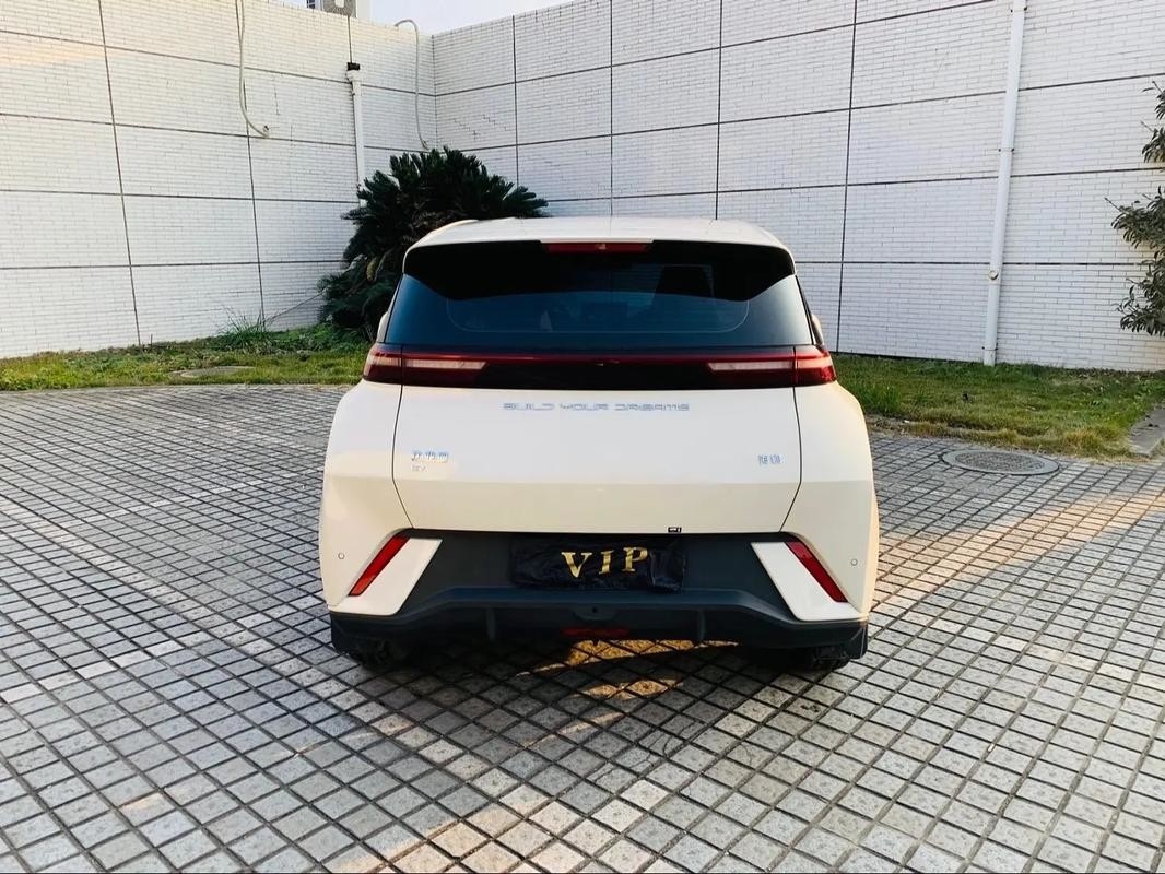 Byd Seagull 2024 Honor Edition 305km ฟรีเอดิชั่นรถไฟฟ้า รถพลังงานใหม่